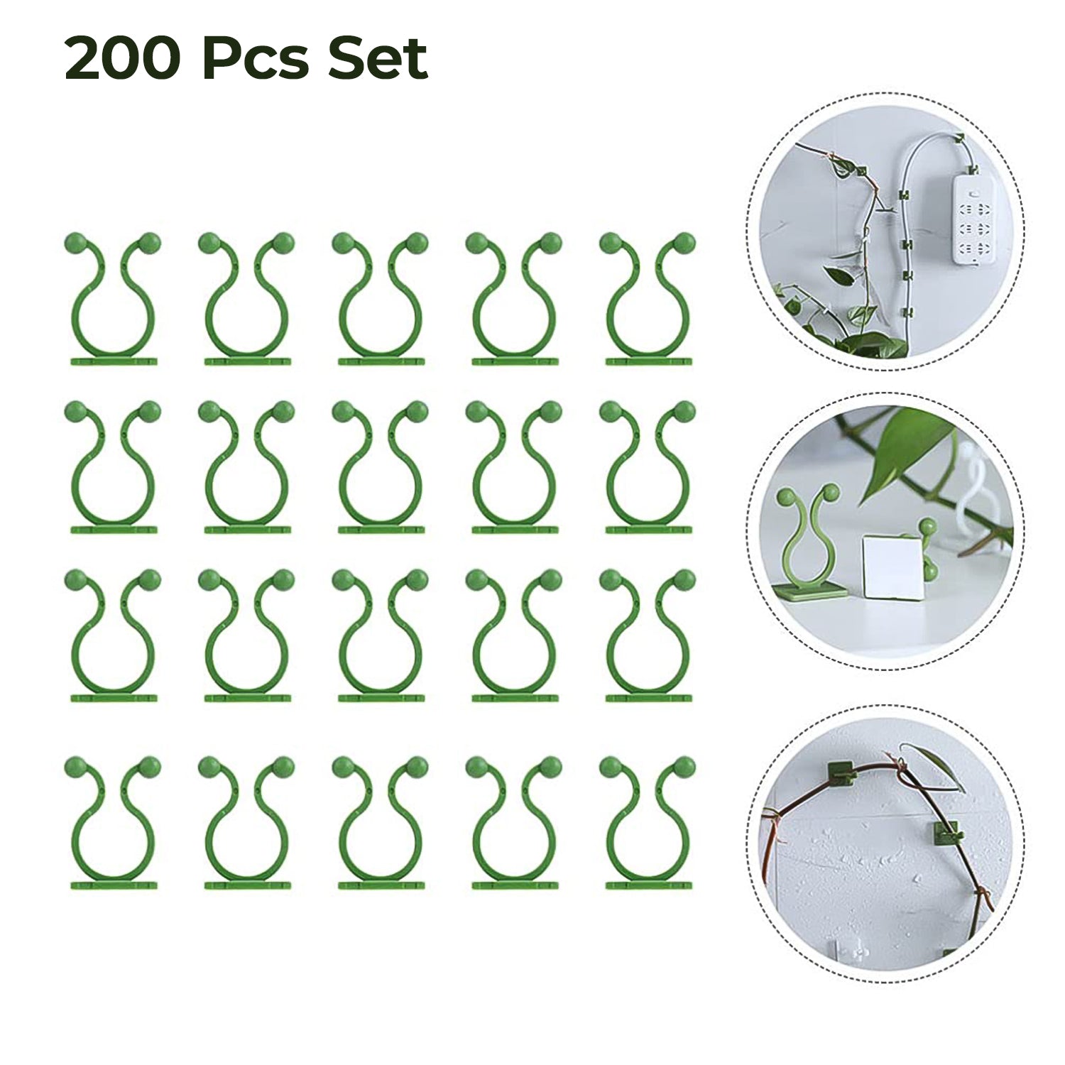 PlantPath Climbing Clips PlantPath Climbing Clips